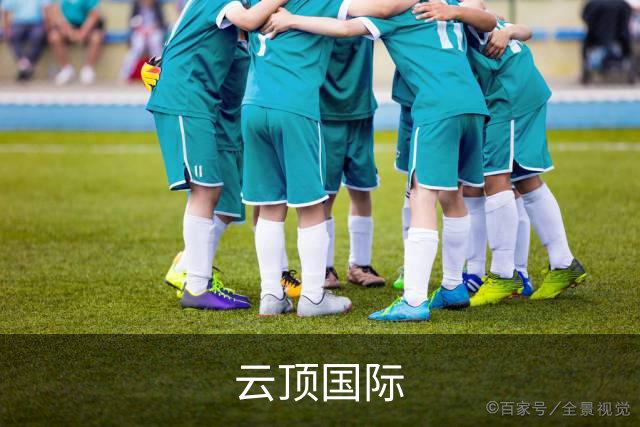 云顶国际公司简介